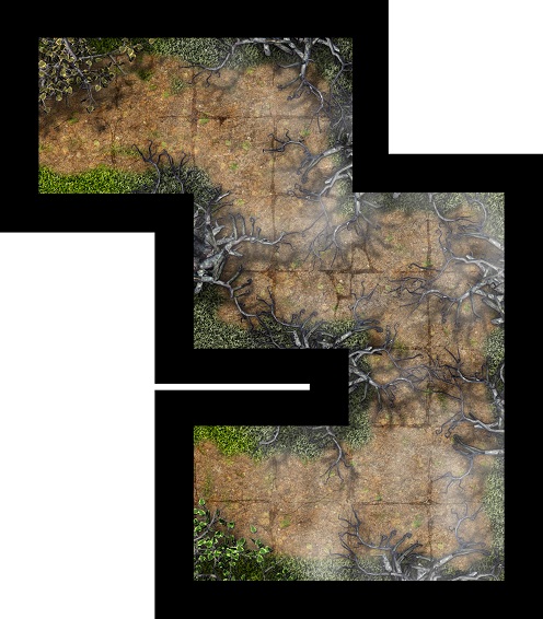 Forêt - Bois Mort